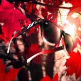 BLACK CHERRY POLARIZED | L SERIES